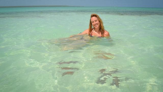 From Punta Cana: Saona Island Trip via Speedboat with Lunch