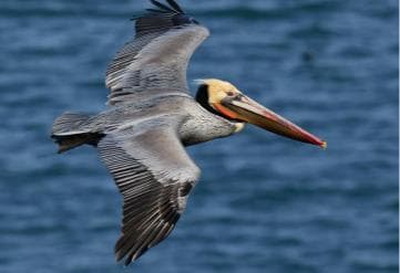 Punta Cana: Los Haitises National Park Full-Day Tour