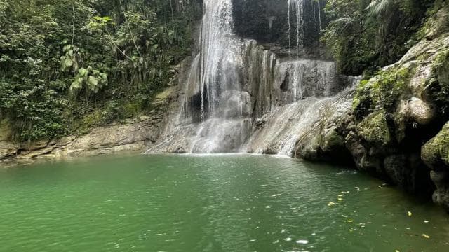 PUERTO RICO: Custom Hiking Tours with Transportation!!