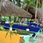 Punta Cana: Saona Island in Private Vehicle and Guide