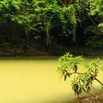 Punta Cana: Anamaya Mountains Walking Tour with Tasting