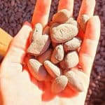 From Puerto Plata Priv: Cocoa, Coffee, Cigars & Local Market