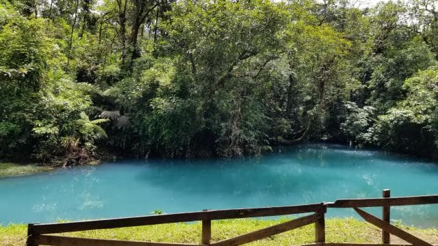 La Fortuna: Rio Celeste Waterfall and National Park Tour