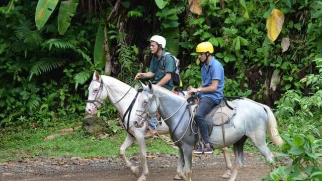 From Manuel Antonio: Horseback Riding with Lunch or Dinner