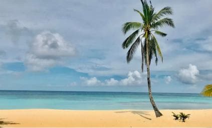 Saona Island: Punta Cana All-Inclusive