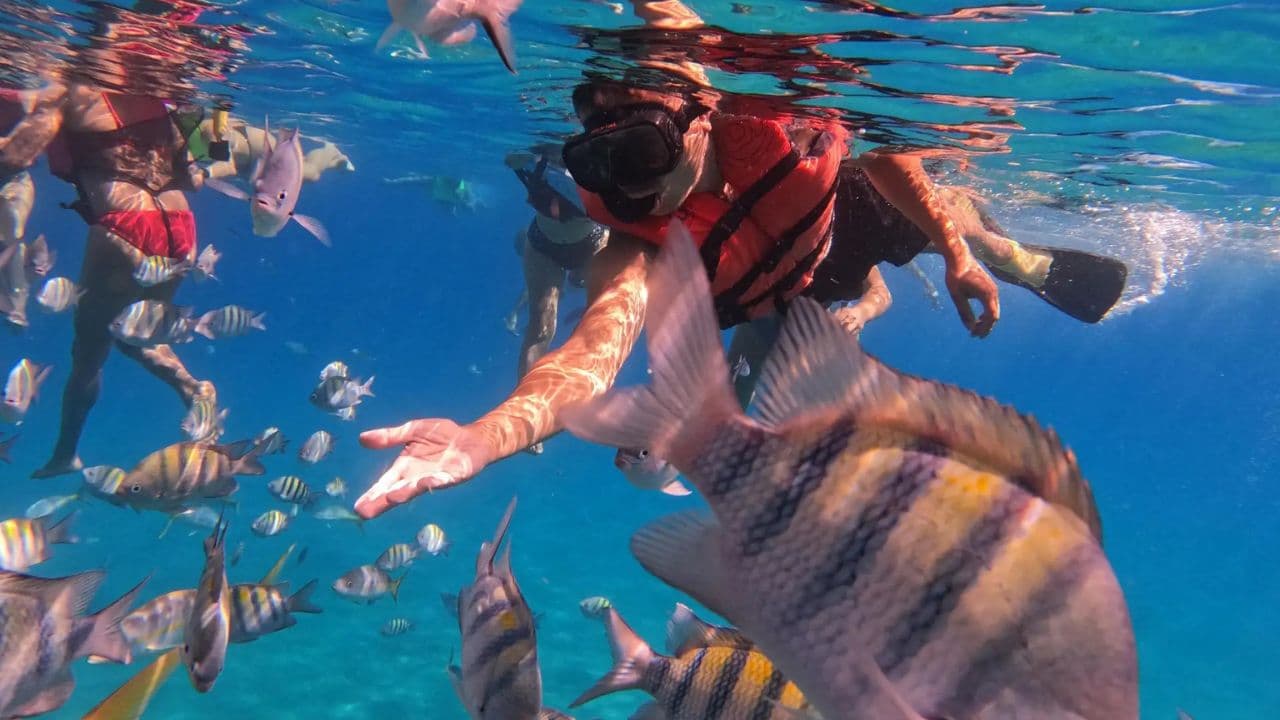 From Puerto Plata: Cayo Arena Private Catamaran Trip & Lunch
