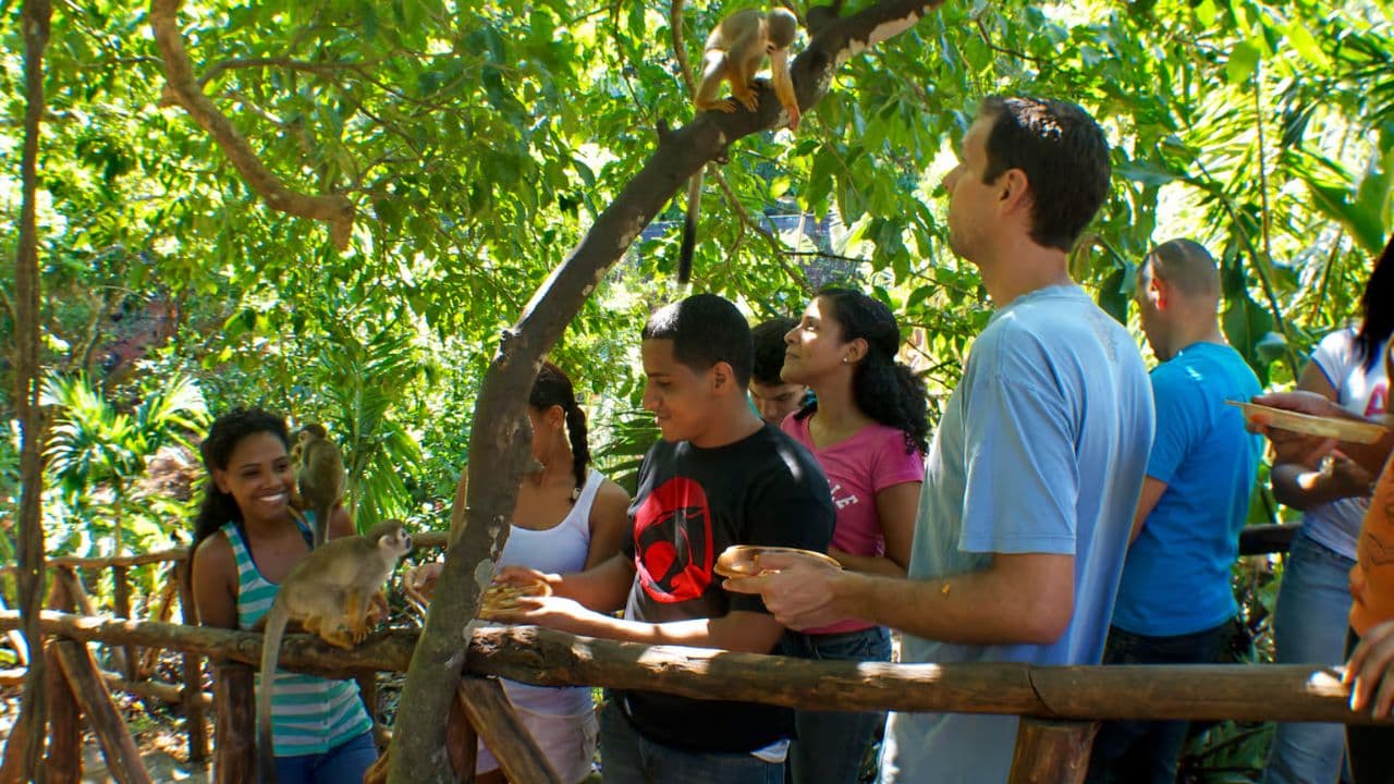 Puerto Plata: Monkeyland and Zip-Line Adventure