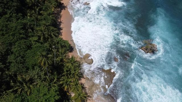 Epic Manzanillo Combo Tour: Snorkel, Dolphins & Farm Tour
