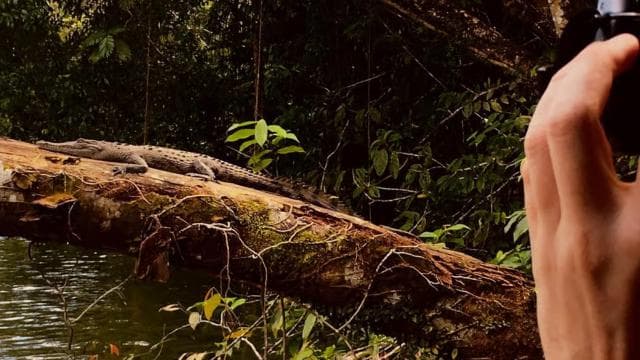 Tortuguero Canal Tour with history from Limon