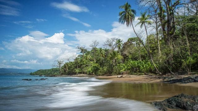 Corcovado National Park: Three Days and Two Nights Corcovado