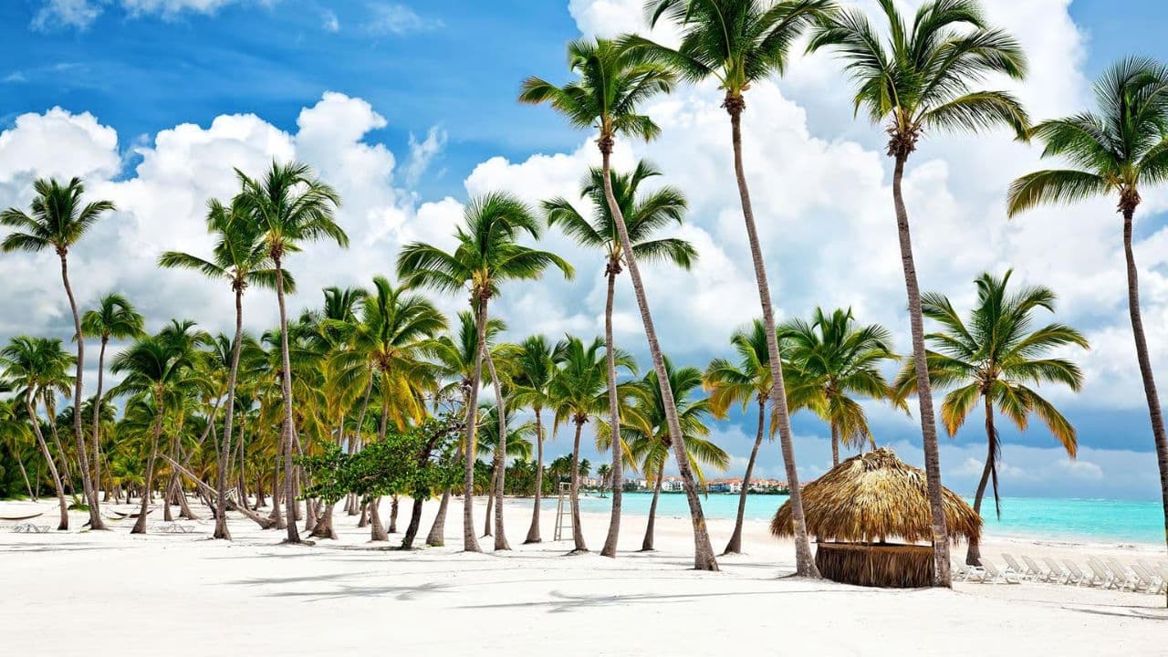 Punta Cana: Saona Island Day Trip with Lunch and Drinks