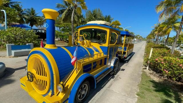 Old San Juan Trolley Sightseeing Tour: The Old & New SJ