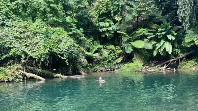 San Juan: El Yunque National Rainforest Sightseeing Tour