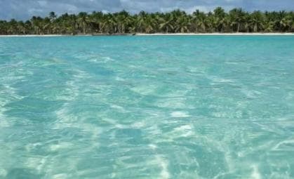 Private Day Excursion to Saona Island from Juan Dolio