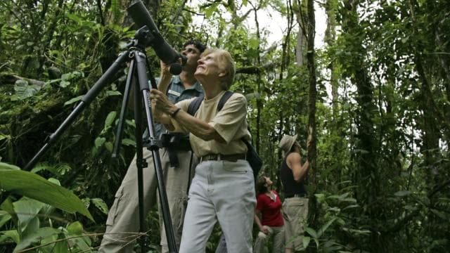 Bird Watching Tour at Rainforest Adventures Braulio Carrillo
