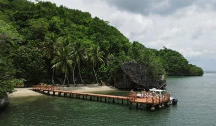 Miches: Los Haitises, Transfer, Walking & Boat tour.
