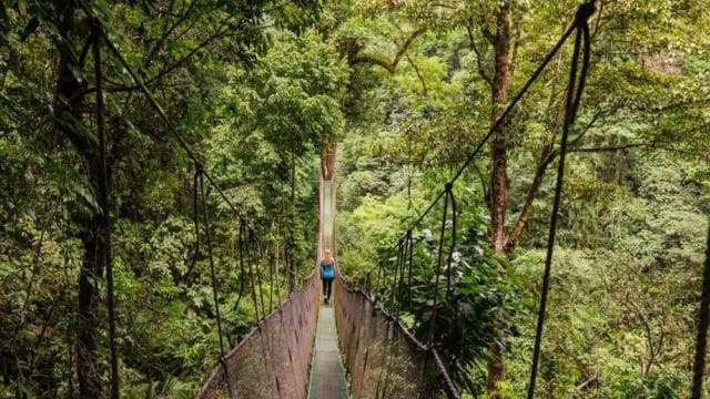 Manuel Antonio: Hanging Bridges and Waterfall Tour
