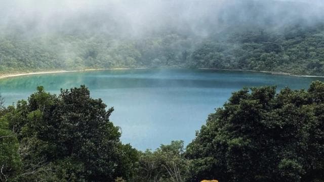 Coffee Farm tour, Poas Volcano Park and La Paz Waterfall
