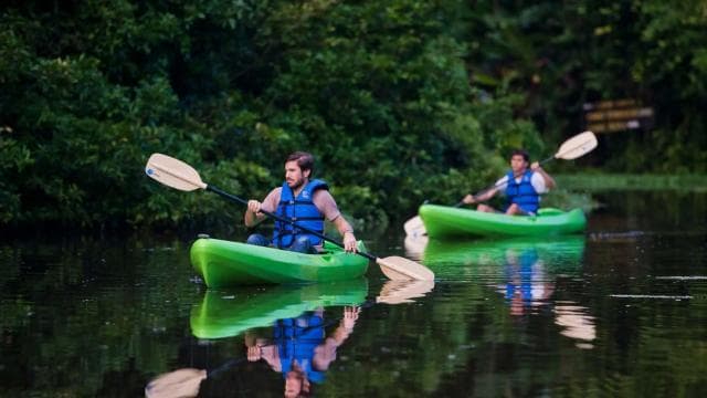Tortuguero National Park: Best Things to Do in Tortuguero