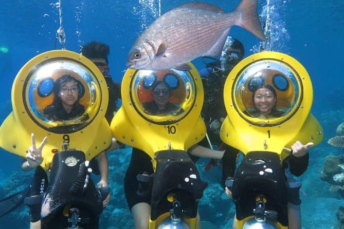 Bayahibe: PADI Open Water Course 
