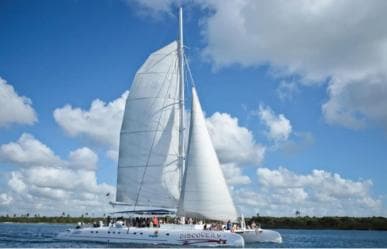experience saona island from punta cana