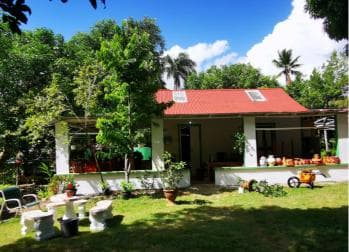 Puerto Plata: Taino Valley and Dominican Flavor Experience