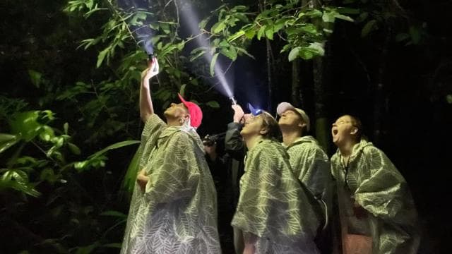 Manuel Antonio: Night Walking Tour