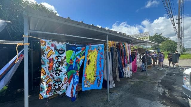 El Yunque Rainforest Waterslides and Beach Tour & Transport