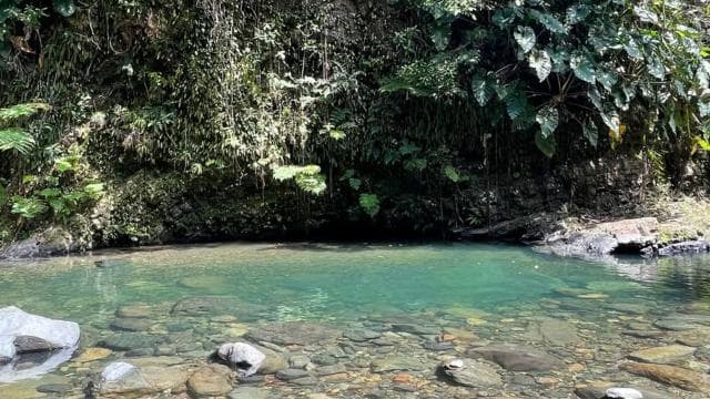 PUERTO RICO: Custom Hiking Tours with Transportation!!