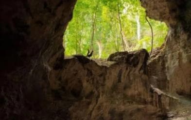 Private: Los Haitises National Park 2-Day Tour with Meals