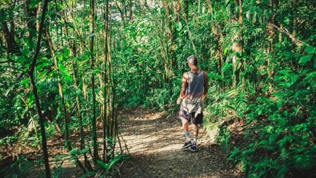 From Monteverde: Monteverde Suspension Bridge Guided Hike