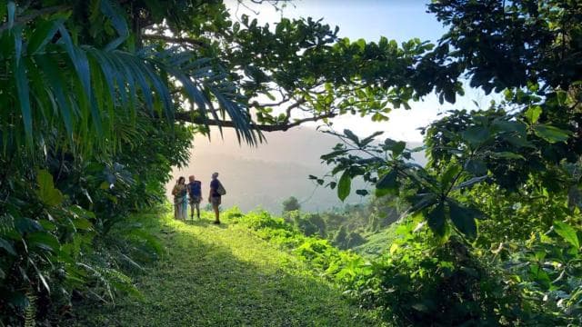 Puerto Rico: Yunque Ziplining at the Rainforest