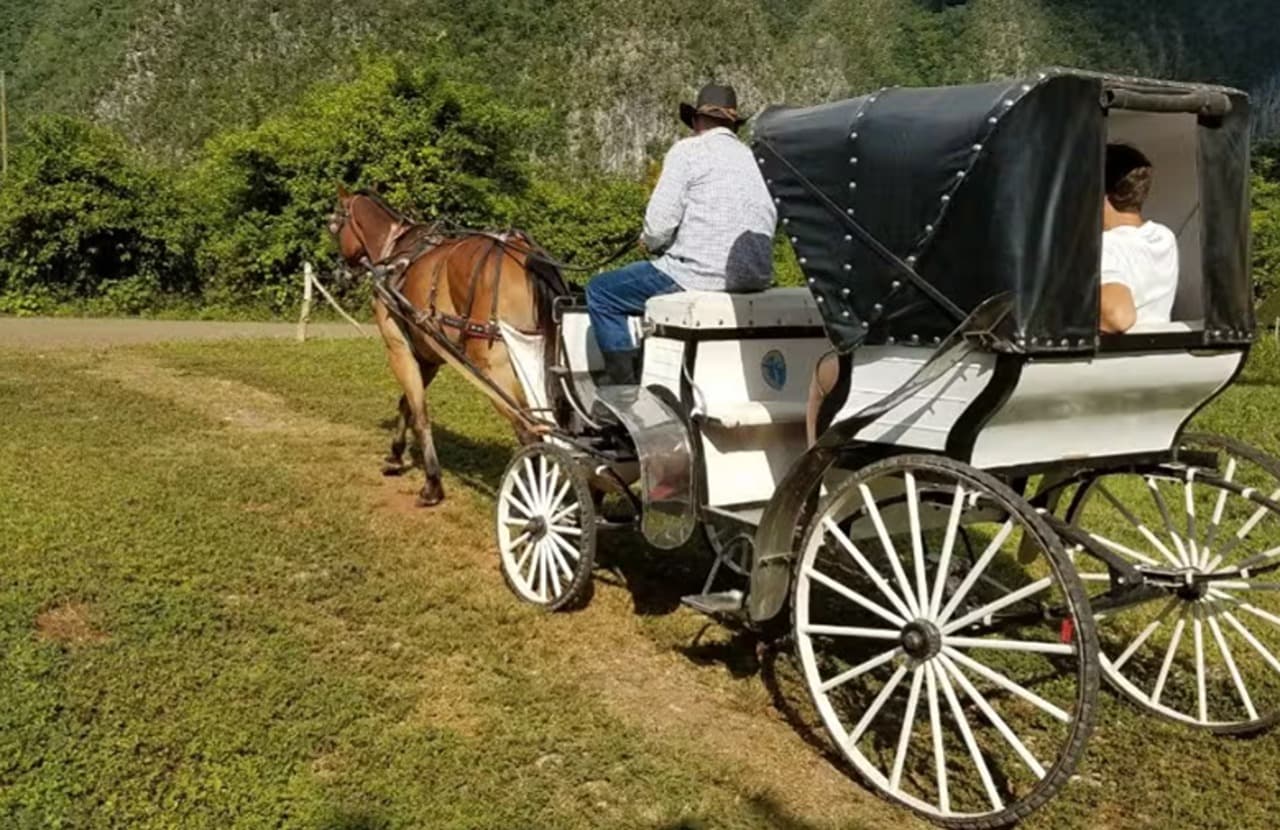Viñales Valley Carriage Ride