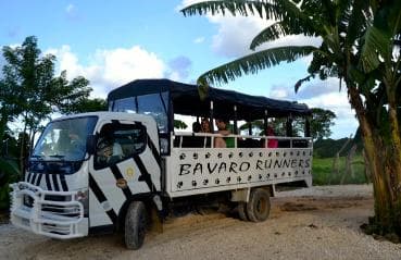 From Bayahibe: Half Day Monkeyland Safari