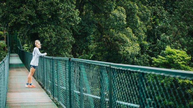 Monteverde: Zip Lines, Bridges, Butterflies, Sloths and more