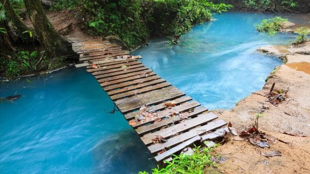 Ticket to Rio Celeste Waterfall & Tenorio National Park