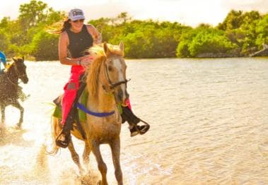Punta Cana: Macao Beach & Forest Horseback Riding Tour
