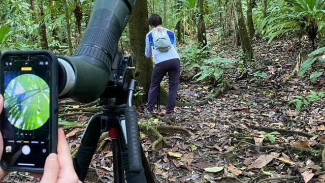 From Puerto Jimenez: Corcovado National Park Full-Day Tour