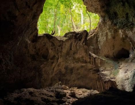 Los Haitises Boat Ride + Caño Hondo Natural Pools