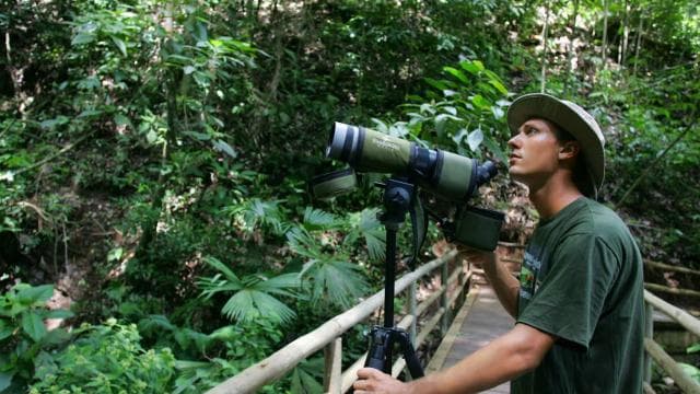 Bird Watching Tour at Rainforest Adventures Braulio Carrillo