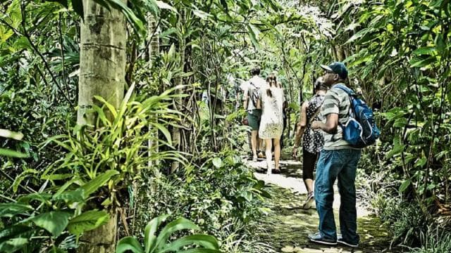 San José: Coffee Production Tour and Tasting