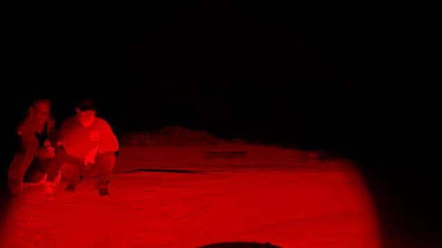 Tamarindo: Turtle Watching Night Tour with Expert Naturalist