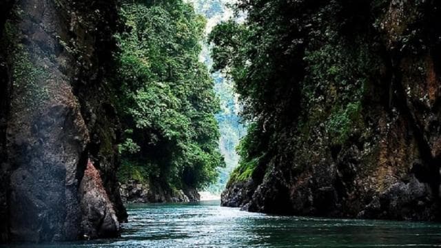 From San José: Pacuare River White Water Rafting Day Trip