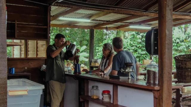 Costa Rica: Sloth tour and Coffee, Chocolate, and Sugarcane
