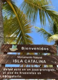 Catalina Island: Cruise, Snorkelling, Open Buffet & Drinks