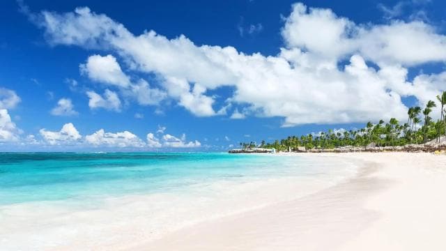 Punta Cana Surfing Experience: Surf in Dominican Republic