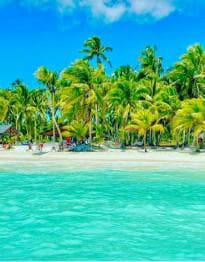 Santo Domingo: Saona Island VIP Full-Day Private Tours Lunch & Open Bar