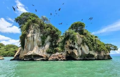 Sabana de la Mar: Los Haitises National Park Day Trip Free