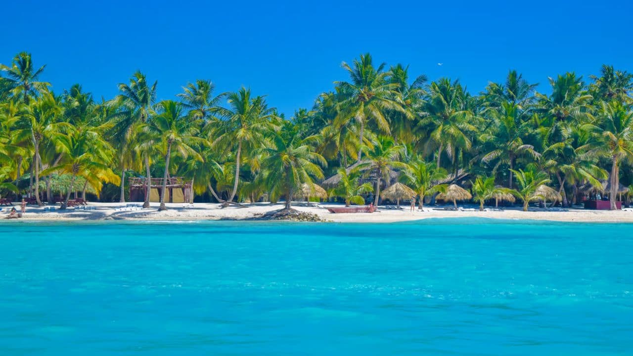 Bayahibe: Saona Island Excursion