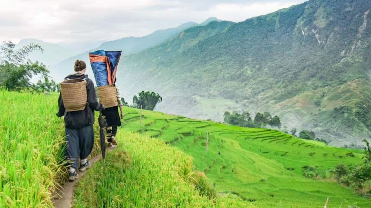 Eco Tour Finder